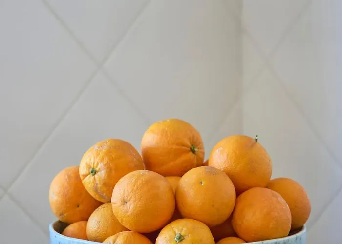 Vieira House With Sea View Apartman *