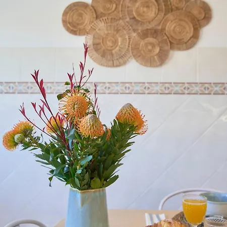 Daire Vieira House With Sea View Vieira de Leiria