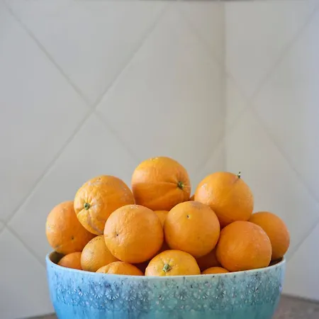 Vieira House With Sea View Daire *