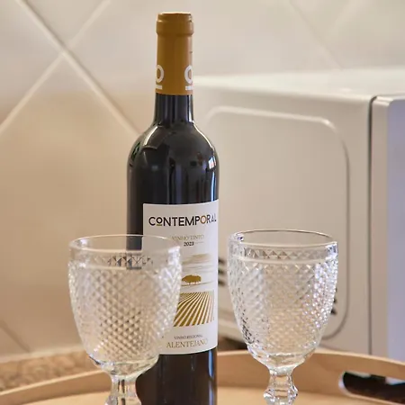 Vieira House With Sea View Apartment