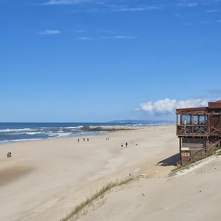 Apartment Vieira House With Sea View