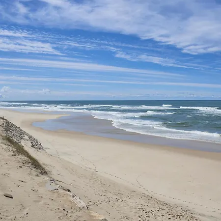 Daire Vieira House With Sea View