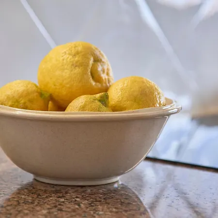 Vieira House With Sea View Daire