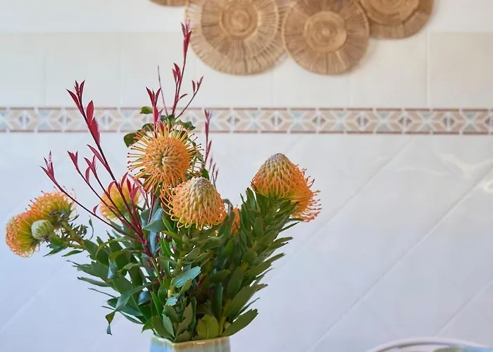 Апартаменты Vieira House With Sea View Виейра-де-Лейрия